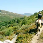 Studio Trivalle